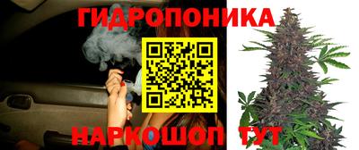 герыч Моздок
