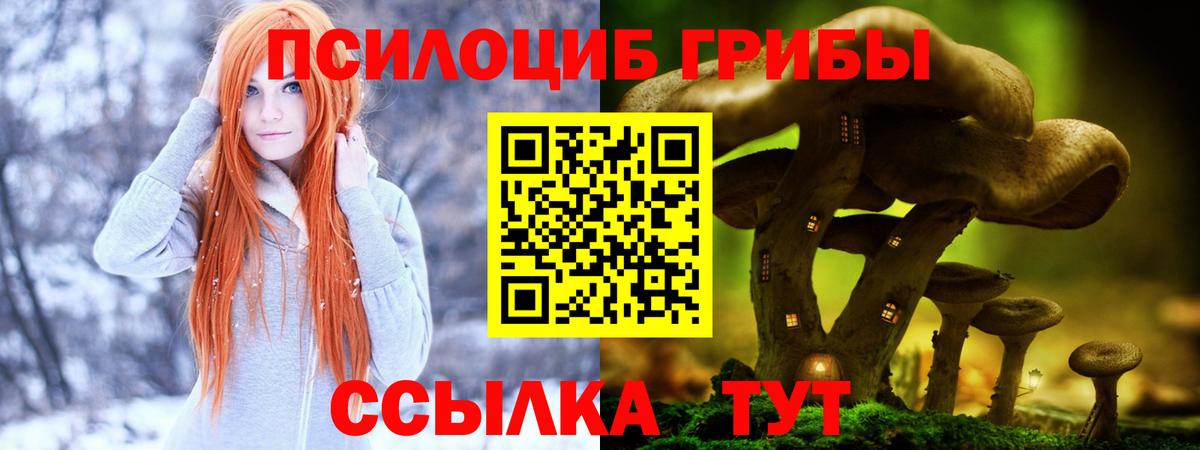 Псилоцибиновые грибы мицелий  Вход с VPN  Южноуральск 